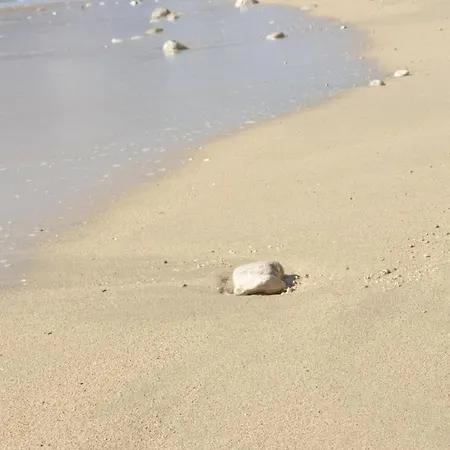 Διαμέρισμα Luxury Beachfront Banje